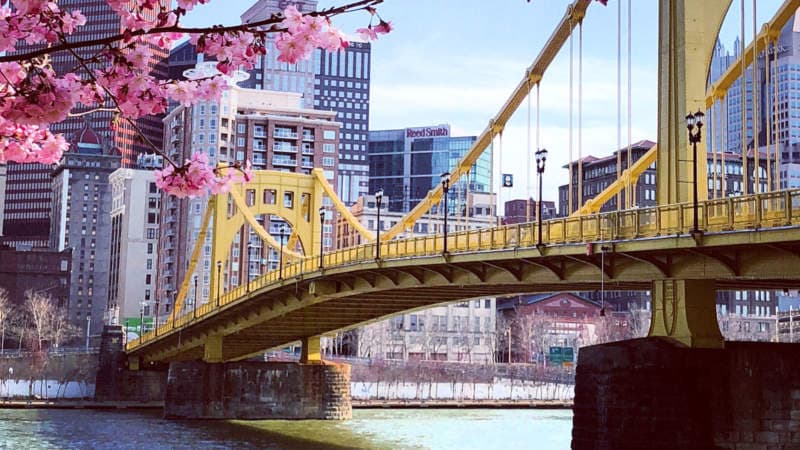 Downtown Pittsburgh with the Roberto Clemente Bridge and spring cherry blossoms